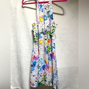 Size 12 Express Dress